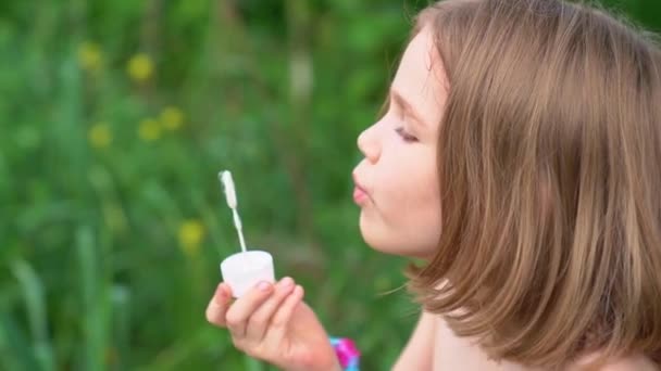 Uma menina infla bolhas de sabão em um prado. infância feliz e diversão para crianças — Vídeo de Stock