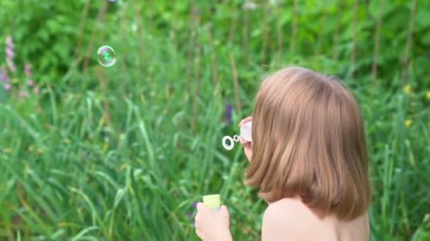 Uma menina infla bolhas de sabão em um prado. infância feliz e diversão para crianças — Vídeo de Stock