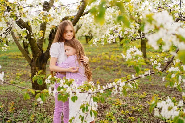 İki kız kardeş bahçede çiçek açan ağaçlarla eğlenip kucaklaşıyorlar.. — Stok fotoğraf