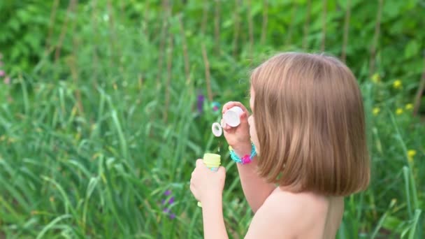 Dívka nafoukne mýdlové bubliny na louce. šťastné dětství a zábava pro děti — Stock video