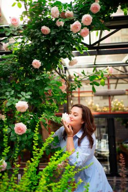 Mavi elbiseli güzel bir kadın tırmanan bir gülün çalılığında duruyor..