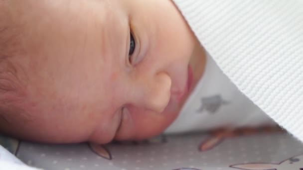 Close up. The newborn sleeps. healthy childrens sleep. — Stock Video