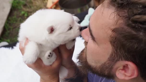 Hombre con rastas y barba sostiene cachorro de Spitz japonés en sus manos. — Vídeo de stock