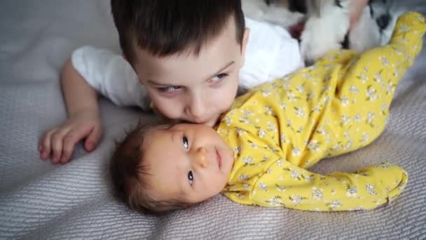 Старший брат с собакой целует новорожденную сестру. рождение второго ребенка в семье. — стоковое видео