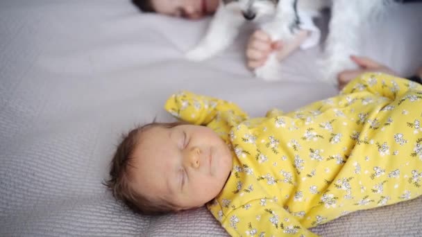 Старший брат держит собаку, чтобы она не трогала новорожденного — стоковое видео