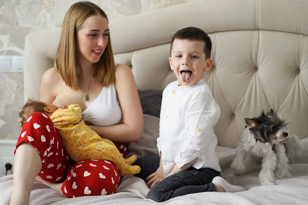 De moeder voedt de pasgeboren baby moedermelk op het bed met oudere broer — Stockfoto