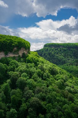 Dağlar yeşil ağaçlarla kaplı. İlkbaharda dağlara seyahatler.