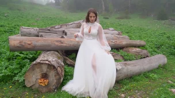 Η νύφη με το λευκό νυφικό σε ένα χωράφι δίπλα στα κούτσουρα. — Αρχείο Βίντεο