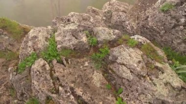 Sis sırasında dağlarda ağaçlarla kaplı kaya ve manzara. 