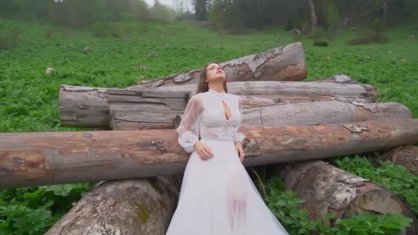 Pengantin dalam gaun pengantin putih di lapangan oleh log. — Stok Video