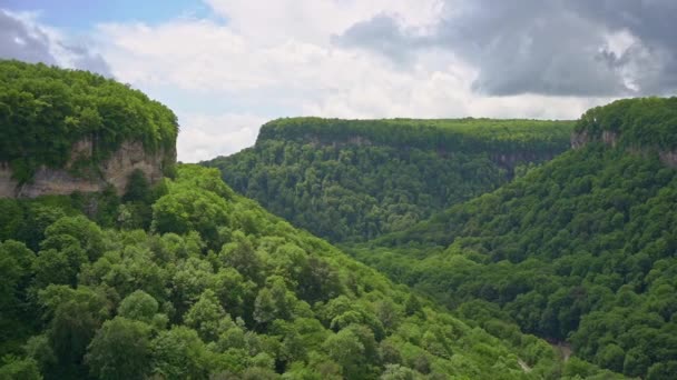 Горы, покрытые зелеными деревьями. поездки в горы весной. — стоковое видео