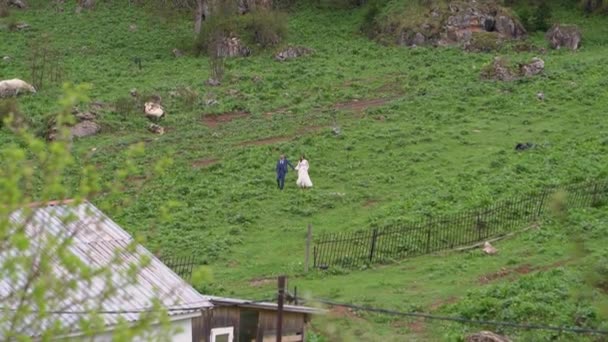 Η νύφη και ο γαμπρός με τα ρούχα του γάμου περπατούν στο ξέφωτο κρατώντας τα χέρια. — Αρχείο Βίντεο