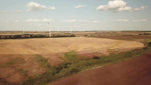 Větrné elektrárny operují na zemědělském poli. — Stock video