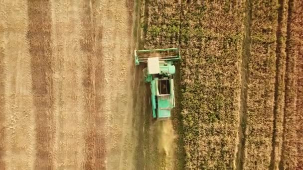 Widok z góry. ciągniki i łączy pracy.letnie pola rolnicze podczas zbiorów. — Wideo stockowe