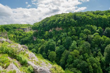 Dağlar yeşil ağaçlarla kaplı. İlkbaharda dağlara seyahatler.