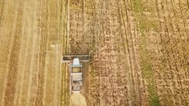 Vista dall'alto. trattore e combinare work.summer campi agricoli durante il raccolto. — Video Stock