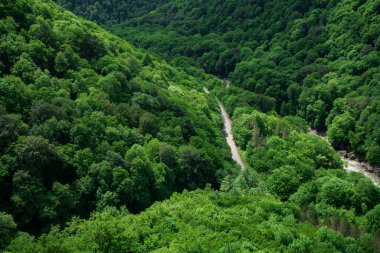 Dağlar yeşil ağaçlarla kaplı. İlkbaharda dağlara seyahatler.