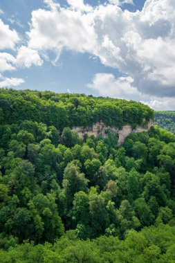 Dağlar yeşil ağaçlarla kaplı. İlkbaharda dağlara seyahatler.