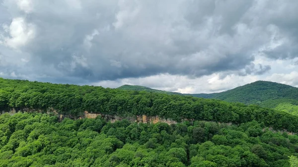 Montagne coperte di alberi verdi. gite in montagna in primavera. — Foto Stock