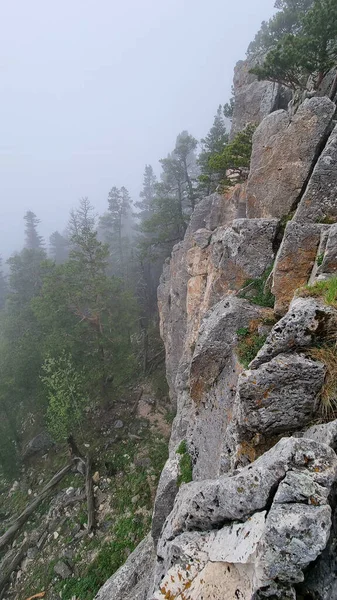 Pedra. paisagem com árvores nas montanhas durante o nevoeiro. — Fotografia de Stock