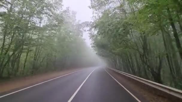 Videoaufnahmen durch die Windschutzscheibe der Autostraße im Nebel. — Stockvideo