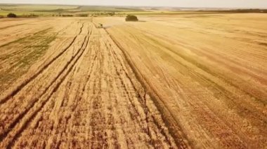  Traktörler ve kombinasyon çalışmaları. Hasat sırasında tarım alanları..