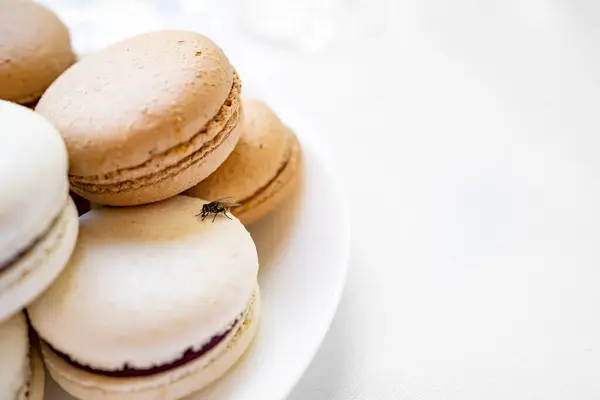 Fly on macaroon cakes. traps for flies and mosquitoes. — Stock Photo, Image