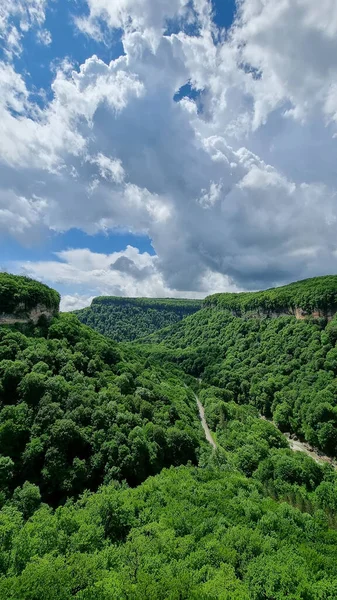 Montañas cubiertas de árboles verdes. viajes a las montañas en primavera. —  Fotos de Stock