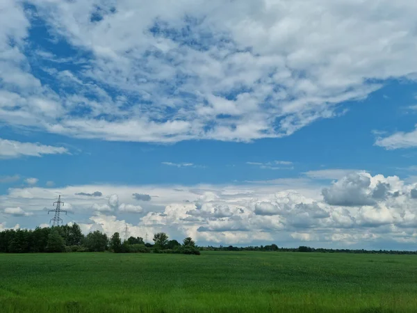 Un campo verde con cielo azul y nubes. —  Fotos de Stock