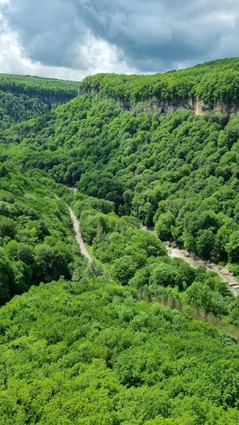 Montagne coperte di alberi verdi. gite in montagna in primavera. — Foto Stock