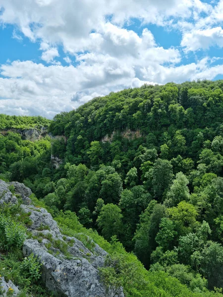 Montañas cubiertas de árboles verdes. viajes a las montañas en primavera. —  Fotos de Stock