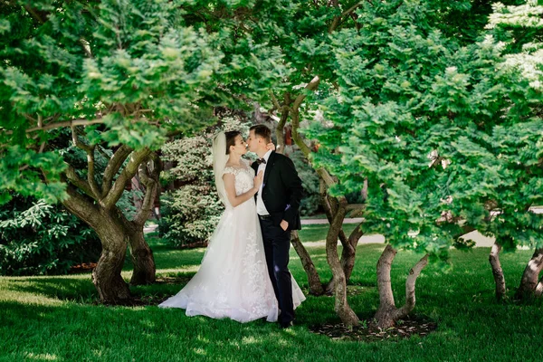 Beaux jeunes mariés près des arbres dans le park.bride et marié sur une promenade dans la nature — Photo