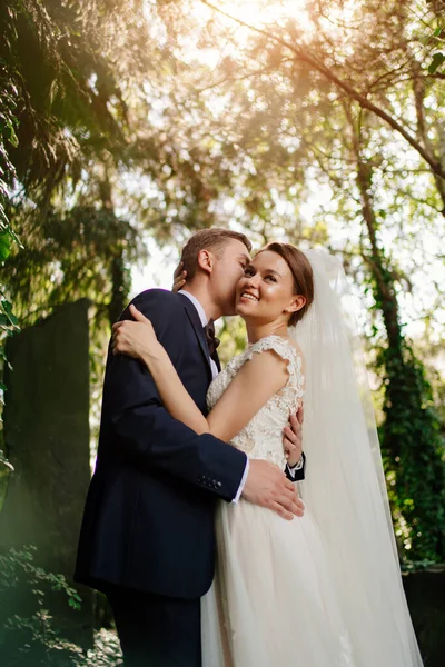 Felices recién casados por los árboles en el park.bride y el novio en un paseo por la naturaleza —  Fotos de Stock