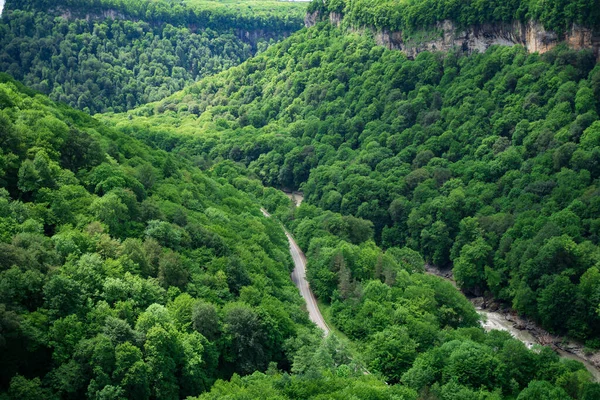 Montagne coperte di alberi verdi. gite in montagna in primavera. — Foto Stock