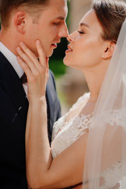 Öptüm. Sevgililer ve mutlu gelin ve damat. İlişkilerde romantizm ve şefkat.