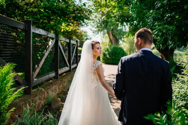 Achteraanzicht. de bruid en bruidegom lopen hand in hand langs het pad in het park. — Stockfoto