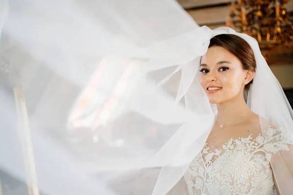 Porträt einer schönen und sanften Braut mit langem Schleier. Weiblichkeit und Schönheit — Stockfoto