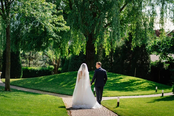 Η νύφη και ο γαμπρός περπατούν κρατώντας τα χέρια κατά μήκος του μονοπατιού στο πάρκο. — Φωτογραφία Αρχείου