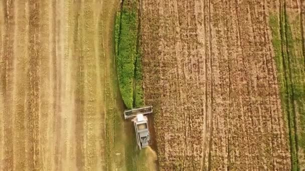 Vista dall'alto. trattore e combinare work.summer campi agricoli durante il raccolto. — Video Stock