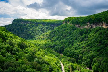 Dağlar yeşil ağaçlarla kaplı. İlkbaharda dağlara seyahatler.