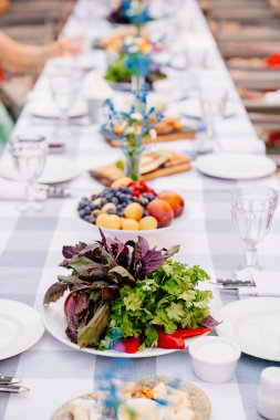 Atıştırmalıklarla servis edilen şenlik masası. Açık havada tatil. salata, meyve ve peynir