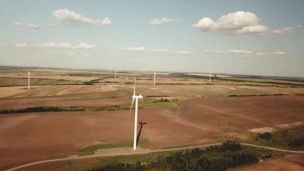 Windmühlen sind eine Energiequelle. alternative Stromerzeugung. — Stockvideo