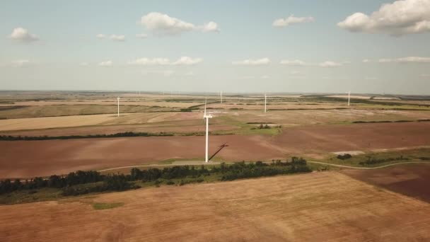 Moinhos de vento são uma fonte de energia. produção alternativa de electricidade. — Vídeo de Stock