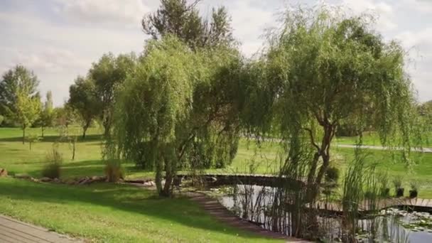 高尔夫球场上的人工池塘。自然景观. — 图库视频影像