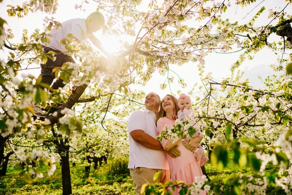 Família com uma filha bebê no jardim de floração primavera. fenda labial em lactentes. — Fotografia de Stock