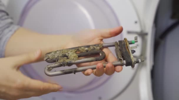 Reparação de máquina de lavar roupa. mestre detém na mão aquecedor elétrico tubular — Vídeo de Stock