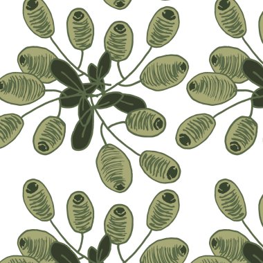 Vektör desen el ile zeytin çizilmiş. Ambalaj şablonu.