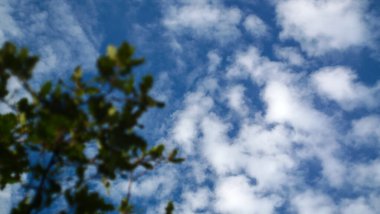 Gökyüzüne karşı ağaç dalları, güney Fransa 'da doğa.