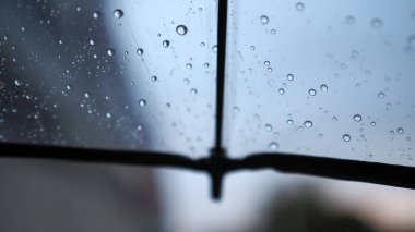 Şeffaf bir şemsiye ve bulanık bir cadde, bulutlu bir sonbahar şehri, melankolik bir bokeh