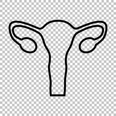 İnsan vücudu anatomisi